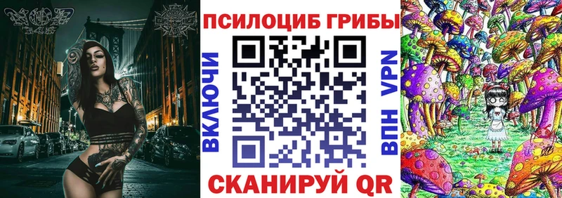 купить наркоту  Ветлуга  Псилоцибиновые грибы Magic Shrooms 